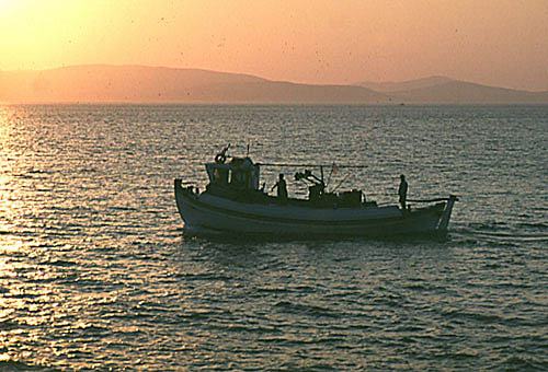 DP05
